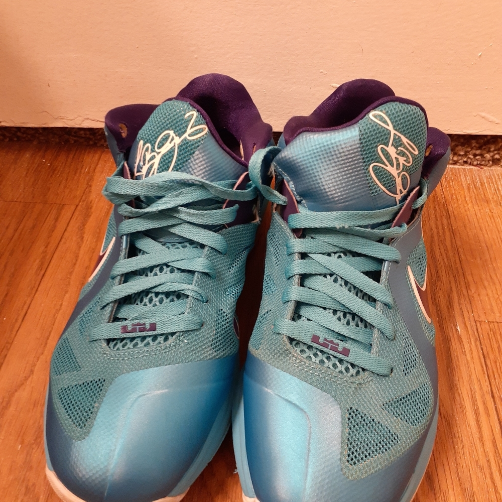 Nike Lebron Low 9